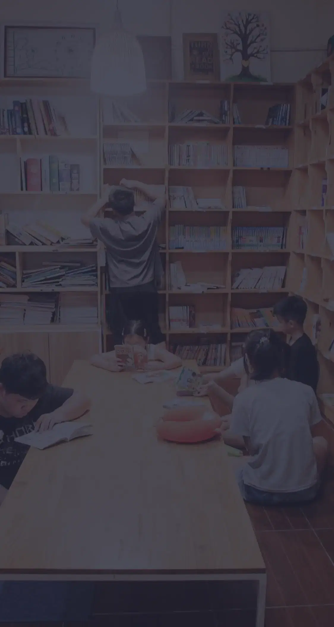 image of the Skoolib